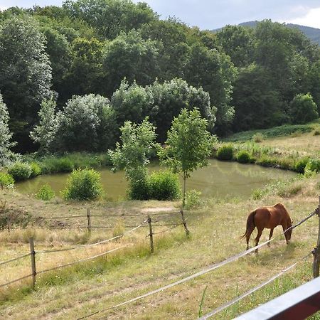 La Bergerie Bed & Breakfast Pollionnay Exterior photo
